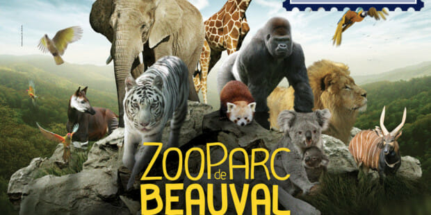 web-zoo-parc-beauval-c2a9-zoo-parc-de-beauval-2